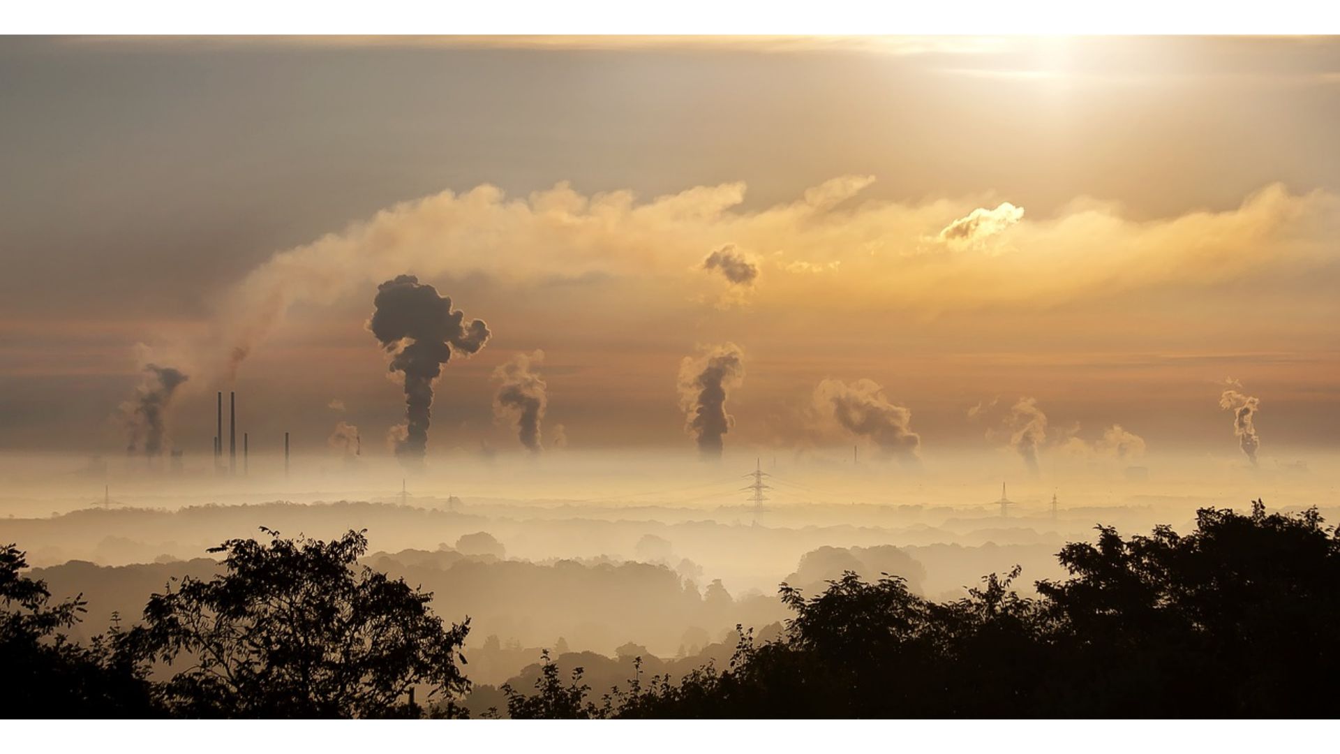Smogowy ranking miast – Polski Alarm Smogowy wskazuje liderów zanieczyszczenia!