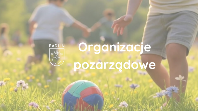 Dotacje dla organizacji pozarządowych na realizację zadań publicznych na 2025 rok