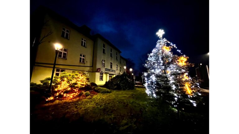 Wesołych Świąt i Szczęśliwego Nowego Roku!